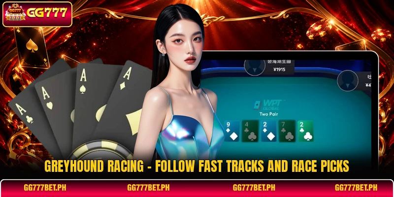 Greyhound Racing - Follow Fast Tracks And Race Picks